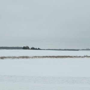 Meet your Posher, Elnaz